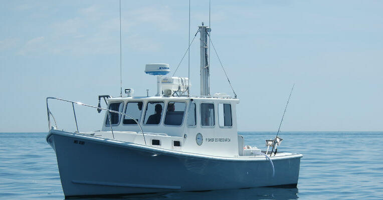 Marine Fisheries Management | Mass.gov